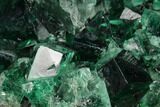 Fluorite Crystal Cluster - Rogerley Mine #143060-1